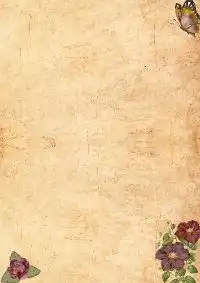 Minimal Pearl Theme Thumbnail